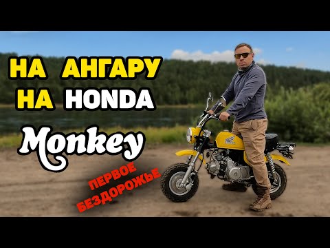 Видео: Мопед для Бездорожья Honda Monkey