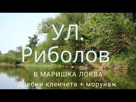 Видео: Ултралайт риболов в маришки локви (дребни кленчета + морунаж)