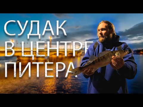 Видео: СУДАК в ЦЕНТРЕ ПИТЕРА на НЕВЕ. ЛОВЛЮ ПЕРВЫЙ РАЗ. СПИННИНГ на НАБЕРЕЖНОЙ САНКТ ПЕТЕРБУРГА.