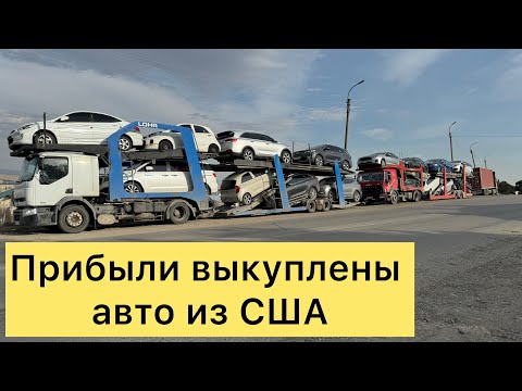 Видео: Мошинҳои аз Америка харида будем омада расидан