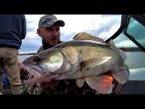 Видео: ЧТО НЕ ПОКЛЕВКА ТО КРУПНЯК!!Осенний джиг на Оби.Рыбалка, крупная щука,судак.