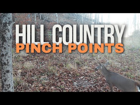 Видео: 5 самых сложных мест в холмистой местности | Как олени передвигаются по холмам