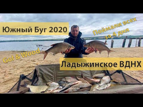 Видео: Рыбалка р. Южный Буг, Ладыжинское водохранилище, 2020
