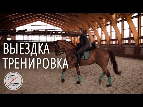 Видео: Выездка. Тренировка у Виктора Петровича Угрюмова