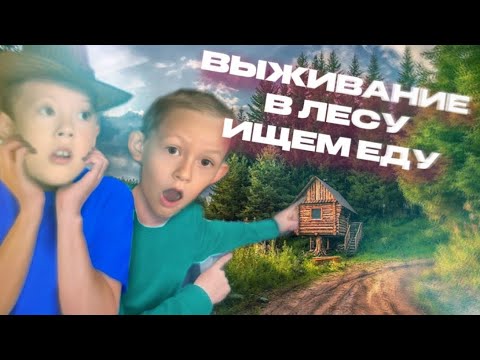Видео: 24 часа в лесу