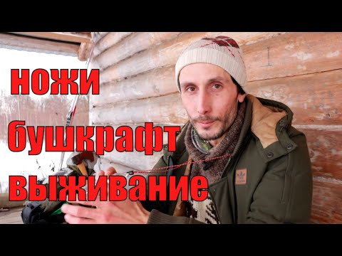 Видео: Советы для бушкрафта и выживания в лесу.