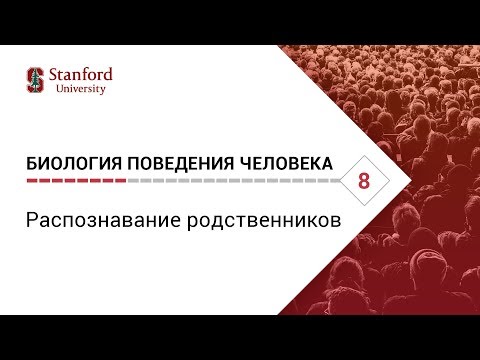 Видео: Биология поведения человека: Лекция #8. Распознавание родственников [Роберт Сапольски, 2010]