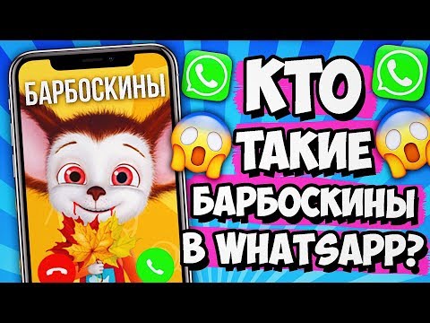 Видео: КТО СКРЫВАЕТСЯ ЗА ЗВОНКАМИ ОТ БАРБОСКИНЫХ