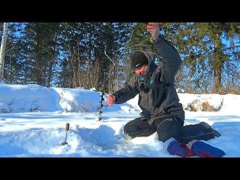 Видео: НАШЕЛ САМУЮ УЛОВИСТУЮ БЕЗМОТЫЛКУ ГЛУХОЗИМЬЯ!!! МАЛЕНЬКАЯ ЛЕСНАЯ РЕКА ПОЛНАЯ РЫБЫ!!!