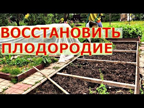 Видео: ОСЕННИЕ заботы о НОВОМ УРОЖАЕ!