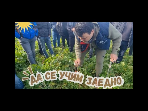 Видео: Страхотен микс Покривни култури - No Till среща в Каварна - Петьо Киров - 08.01.2025