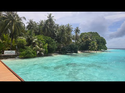 Видео: Fihalhohi island Maldives  Фихалхохи Мальдивы 