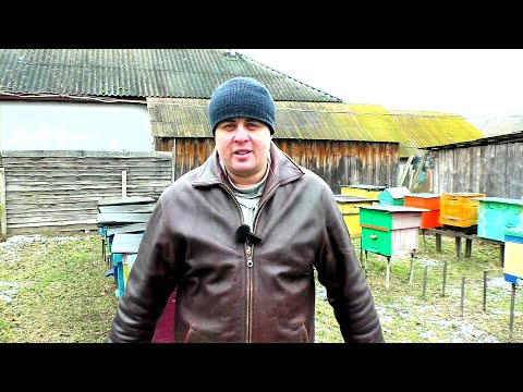 Видео: Изготовление улья в домашних условиях. Какие размеры и нюансы связаны с изготовлением его.