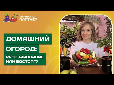 Видео: ЧЕСТНЫЕ ИТОГИ ЗИМНЕГО ОГОРОДА: РАЗОЧАРОВАНИЕ ИЛИ ВОСТОРГ?