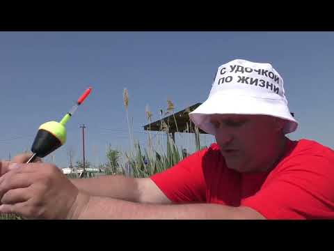 Видео: Монтаж для ловли толстолобика