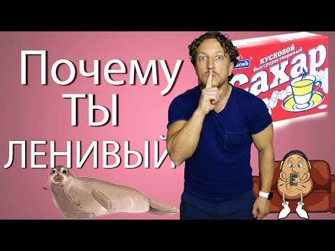 Видео: САХАР и МУЧНОЕ делают тебя ЛЕНИВЫМ!