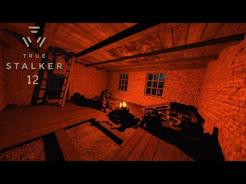 Видео: Работа на ученого и путь к Новошепеличи | True STALKER | #12