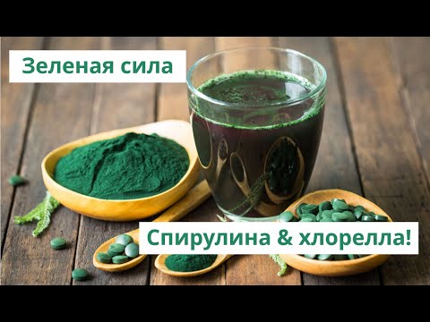 Видео: Зеленая сила: спирулина & хлорелла!