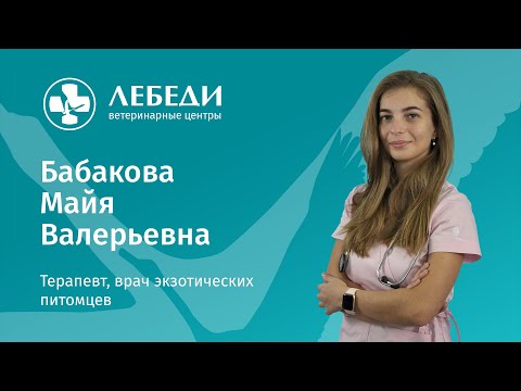 Видео: Как выбрать здорового попугая при покупке (запись эфира от 18.05.2021)