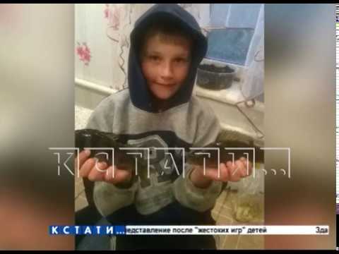 Видео: Сорвавшиеся с цепи овчарки глодали заживо девятилетнего ребенка.