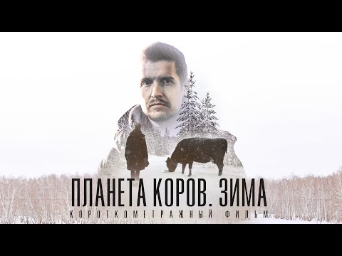 Видео: Фильм "ПЛАНЕТА КОРОВ. ЗИМА"