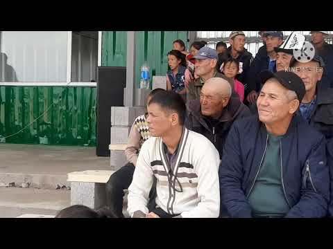 Видео: Курпулдок айылы жаны ат майдандын ачылышы