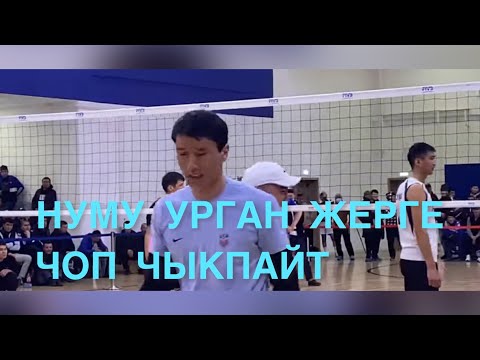 Видео: НУМУ УРГАН ЖЕРГЕ ЧОПДА ЧЫКПАЙТ НООКАТ