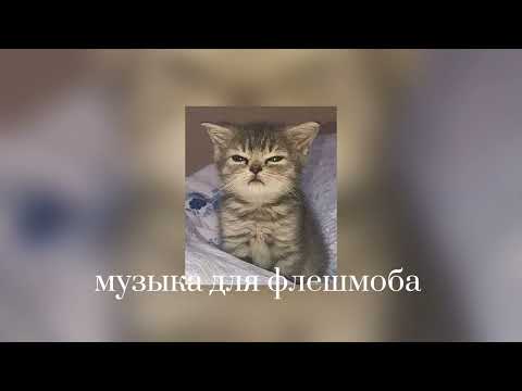 Видео: Музыка для флешмоба 🌷🤍