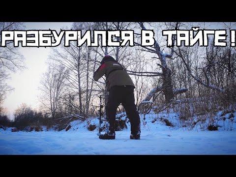 Видео: ТАЁЖНЫЙ ручей УДИВИЛ! ЗАКИНУЛ на манку - клюёт СРАЗУ! Жерлица СРАБОТАЛА!