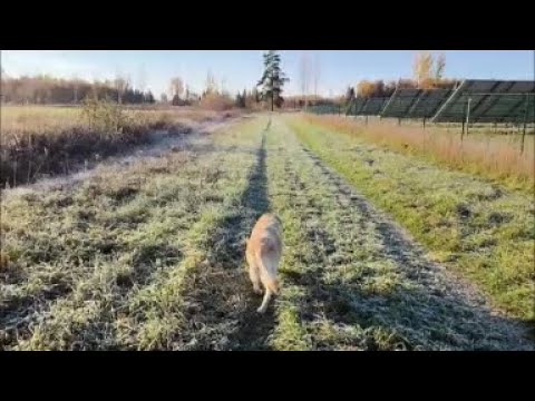 Видео: Прекрасная погода!