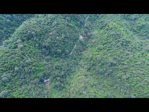 Видео: Исчезнувшая горная деревня в Хунане: Дрон неожиданно обнаружил деревянный дом на вершинах гор