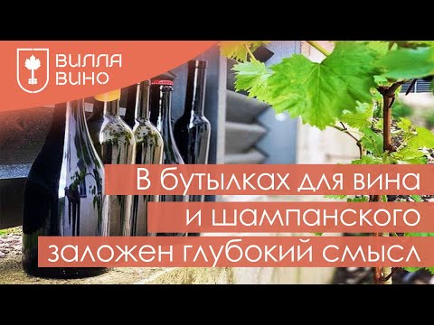 Видео: В бутылках для Вина  и шампанского заложен глубокий смысл.