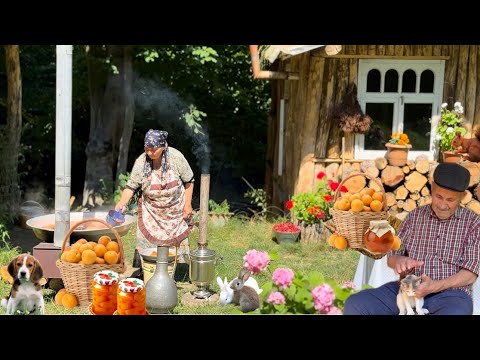 Видео: 🍑 Абрикосы с огорода + домашние пироги и напитки | Настоящее лето в деревне