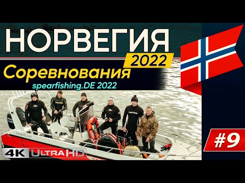 Видео: Подводная охота в Норвегии - Spearfishing.DE cup 2022