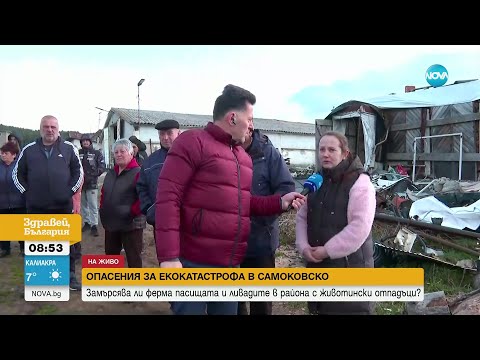 Видео: Опасения за екокатастрофа в Самоковско: Замърсява ли ферма пасища и ливади с животински отпадъци?