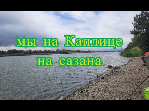 Видео: Летняя рыбалка на Каплице в Ростовской области. Охота на сазана. Опять не погода и комары.