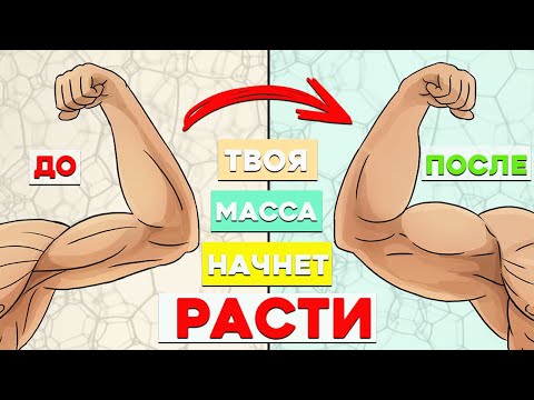 Видео: Лучший Совет если не растет Масса (помогает почти всегда)