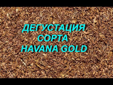 Видео: ДЕГУСТАЦИЯ - HAVANA GOLD ( ГАВАНА ГОЛД)