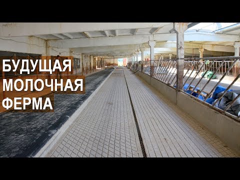 Видео: Реконструкция ферм под стойловое содержание молочного КРС. КФХ Александра Москвина
