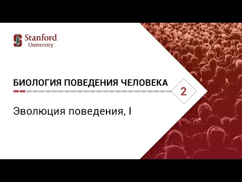 Видео: Биология поведения человека: Лекция #2. Эволюция поведения, I [Роберт Сапольски, 2010. Стэнфорд]