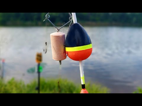 Видео: Летний жор толстолобика. Пошла жара.