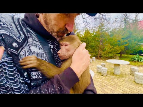 Видео: Влад пришел забрать Люсю домой к малышам, «любимая курочка» рассказывает папе как прошло знакомство!