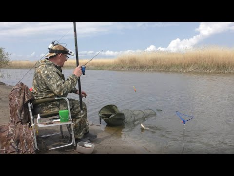 Видео: Весенний карась на поплавок и не только.