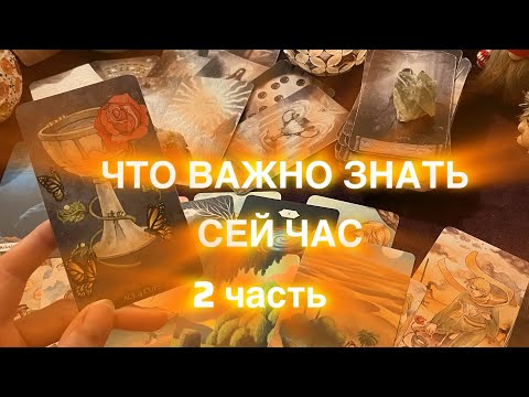 Видео: ЧТО ВАЖНО ЗНАТЬ СЕЙ❣️ЧАС ♥️вторая часть 