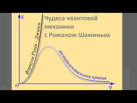 Видео: Чудеса квантовой механики с Романом Шаминым
