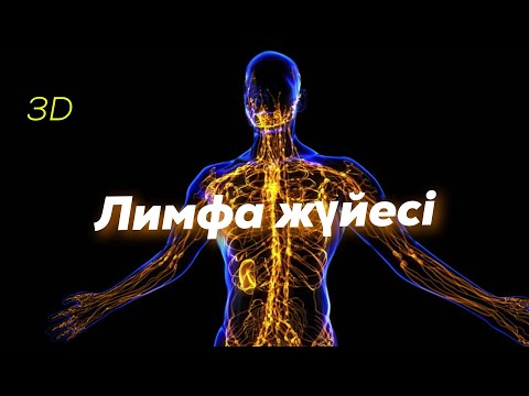 Видео: Лимфа жүйесі | Қызметі | Құрылысы | #лимфа #lymphaticsystem #Лимфажүйесі