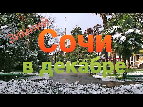 Видео: Зимний Сочи в декабре