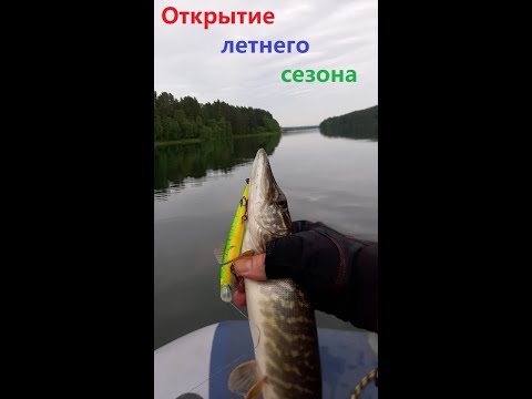 Видео: Открытие летнего сезона. Первая рыбалка на щуку.