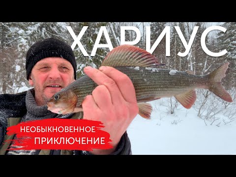 Видео: КРУПНЫЕ ХАРИУСЫ! Таёжная река и деревенский уют. Главное приключение февраля!