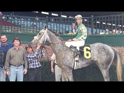 Видео: Конете на България -  отдават чест на „Момчето от Кабиюk“